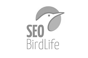 seo.org