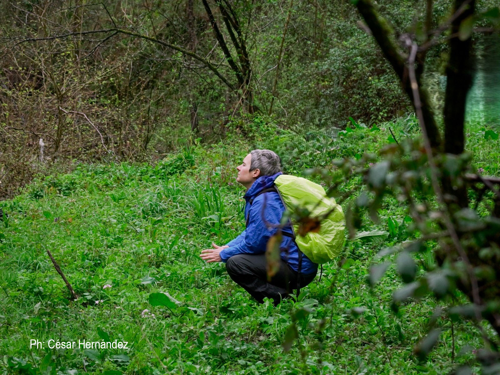 Violeta Torán Pereg